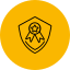 medal