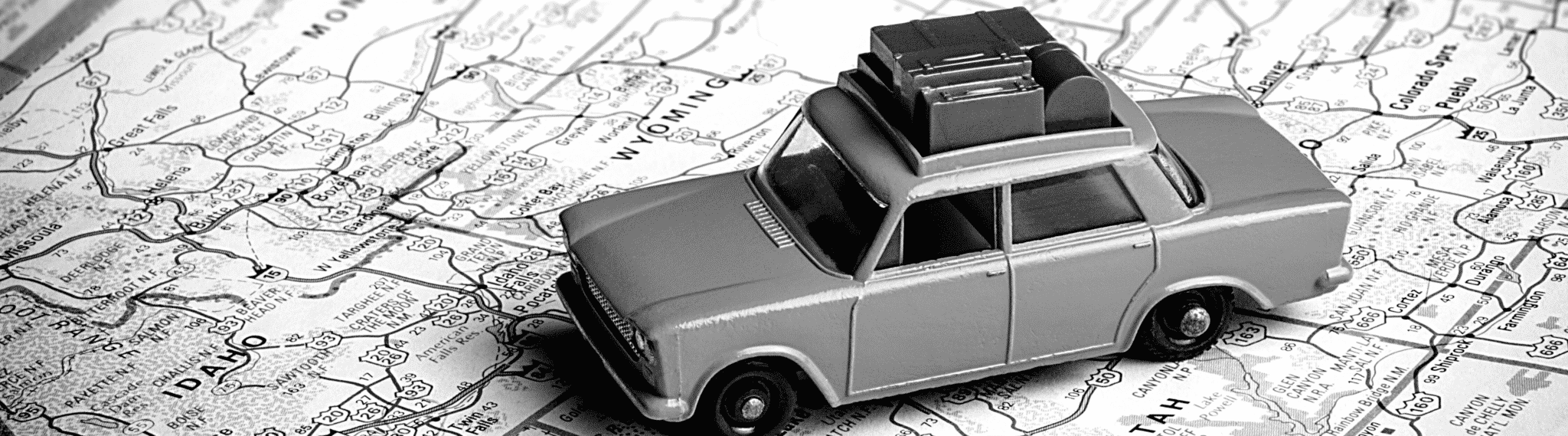 dcim roadmap